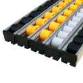 ABS Plastic Roller Track for Pallets